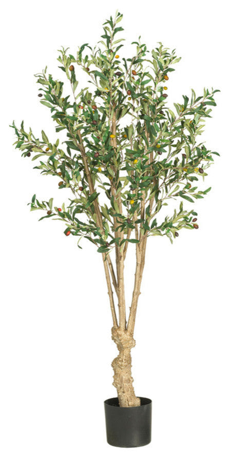 5' Olive Silk Tree