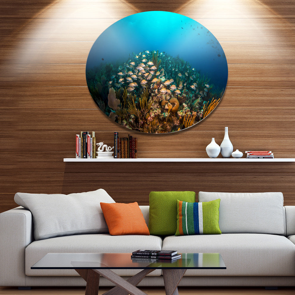 School Of Grunts Swimming In Water, Landscape Round Wall Art, 23"