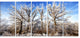 Beautiful Winter Evening View, Large Landscape Canvas Art, 60"x28", 5 Panels