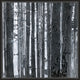 Knitted Woodland, Giclee Reproduction Artwork