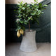 Lyon Beton Urban Garden Nuclear Plant Flower Pot