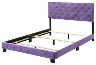 Glory Furniture Suffolk Velvet Upholstered Queen Bed in Purple