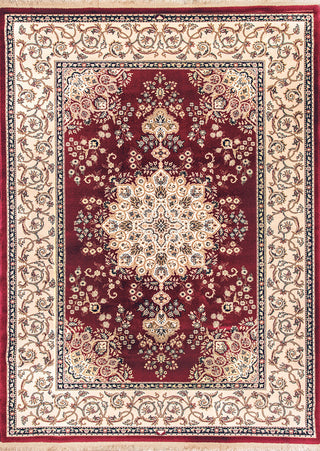 Brilliant Rug, 6.7x9.10