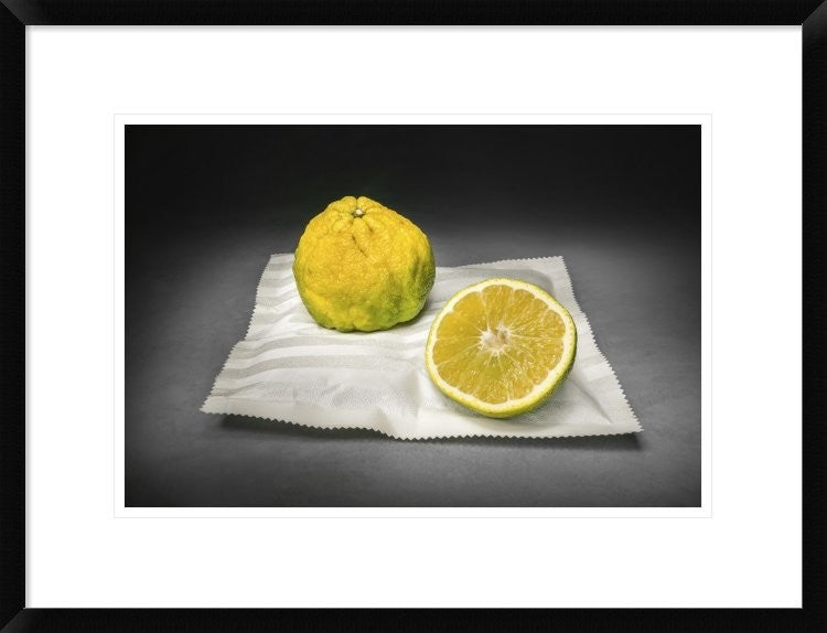 "Citrus" Framed Digital Print by Christophe Verot, 26"x20"