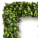 Square 16in English Boxwood Wreath Topiary Greenery Natural Classic Hanging Door