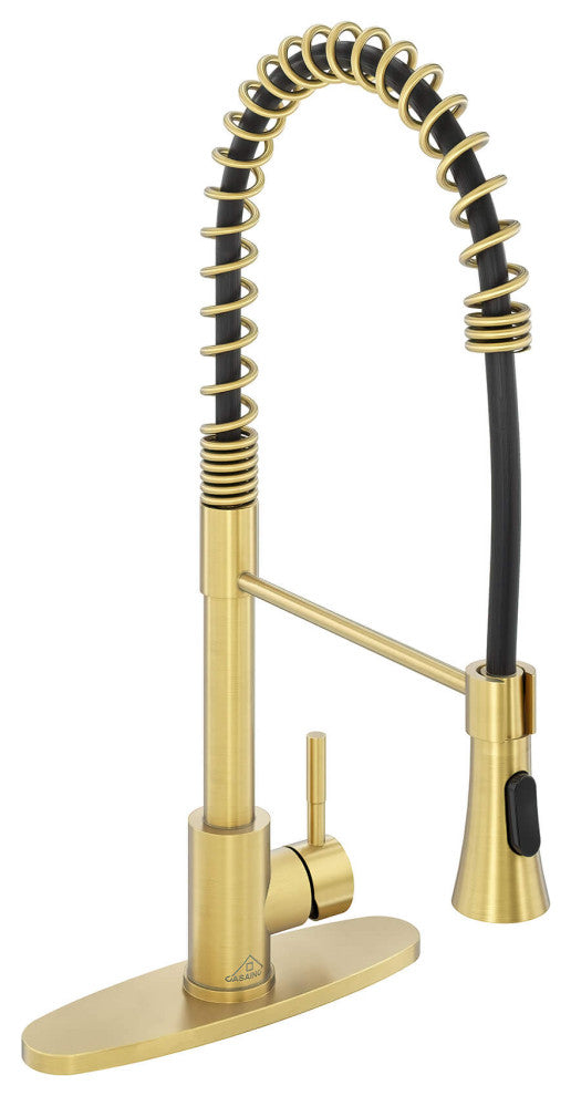 Spring Standard Kitchen Faucet with Dual-Function Spray Head and Deck Plate, Brushed Gold
