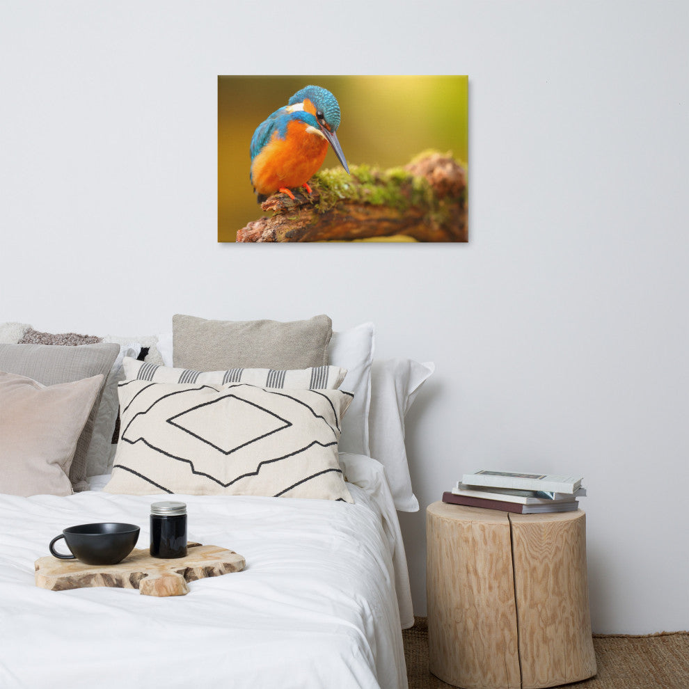 Kingfisher Bird on Perch 2 Animal Wildlife Photo Canvas Wall Art Prints, 24" X 36"