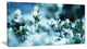 Little White Flowers in Meadow, Large Flower Canvas Wall Art, 32"x16"