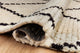 Chris Loves Julia x Loloi Alice Cream/Charcoal 9'-2" x 13' Area Rug