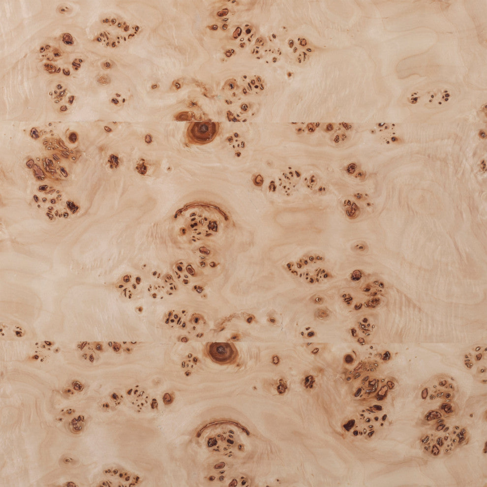 Otto Ash Burl Veneer Coffee Table, Natural