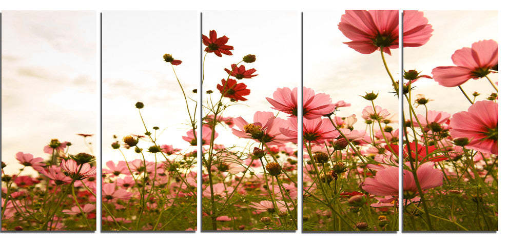 Beautiful Cosmos Flowers Garden, Floral Canvas Art Print, 60"x28", 5 Panels