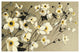 "Anemones Japonaises Blancs" Digital Paper Print by Shirley Novak, 38"x26"