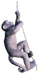 Makokou the Climbing Monkey