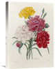 "Carnations" Artwork, 15.6" x 22"