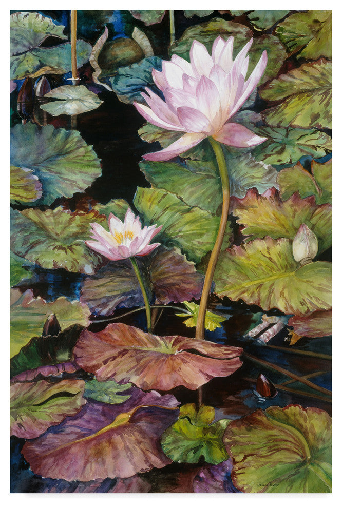 Joanne Porter 'Water Lilies' Canvas Art, 19"x12"