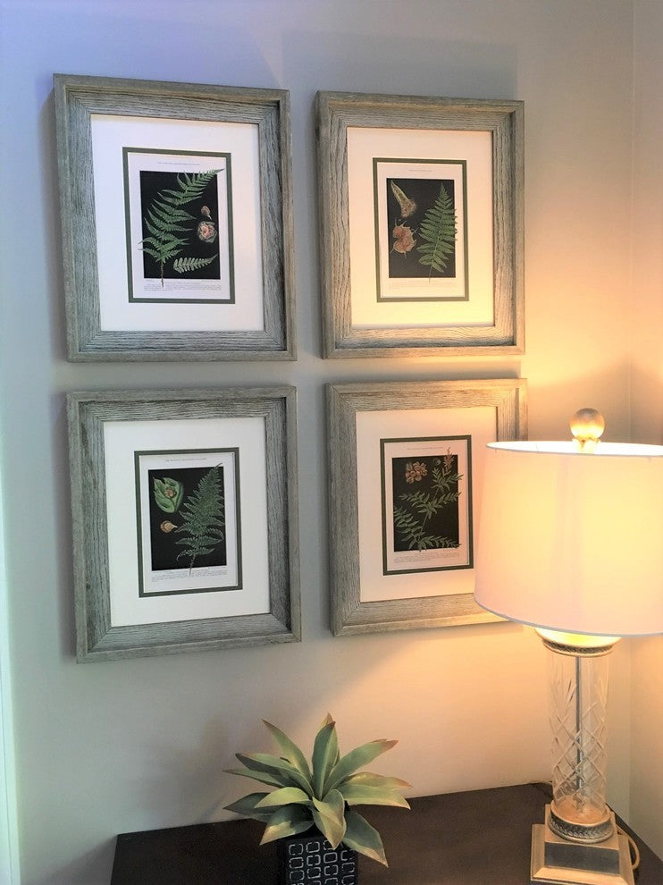 Original Vintage 1925 Botanical Fern Framed Prints, Set of 2