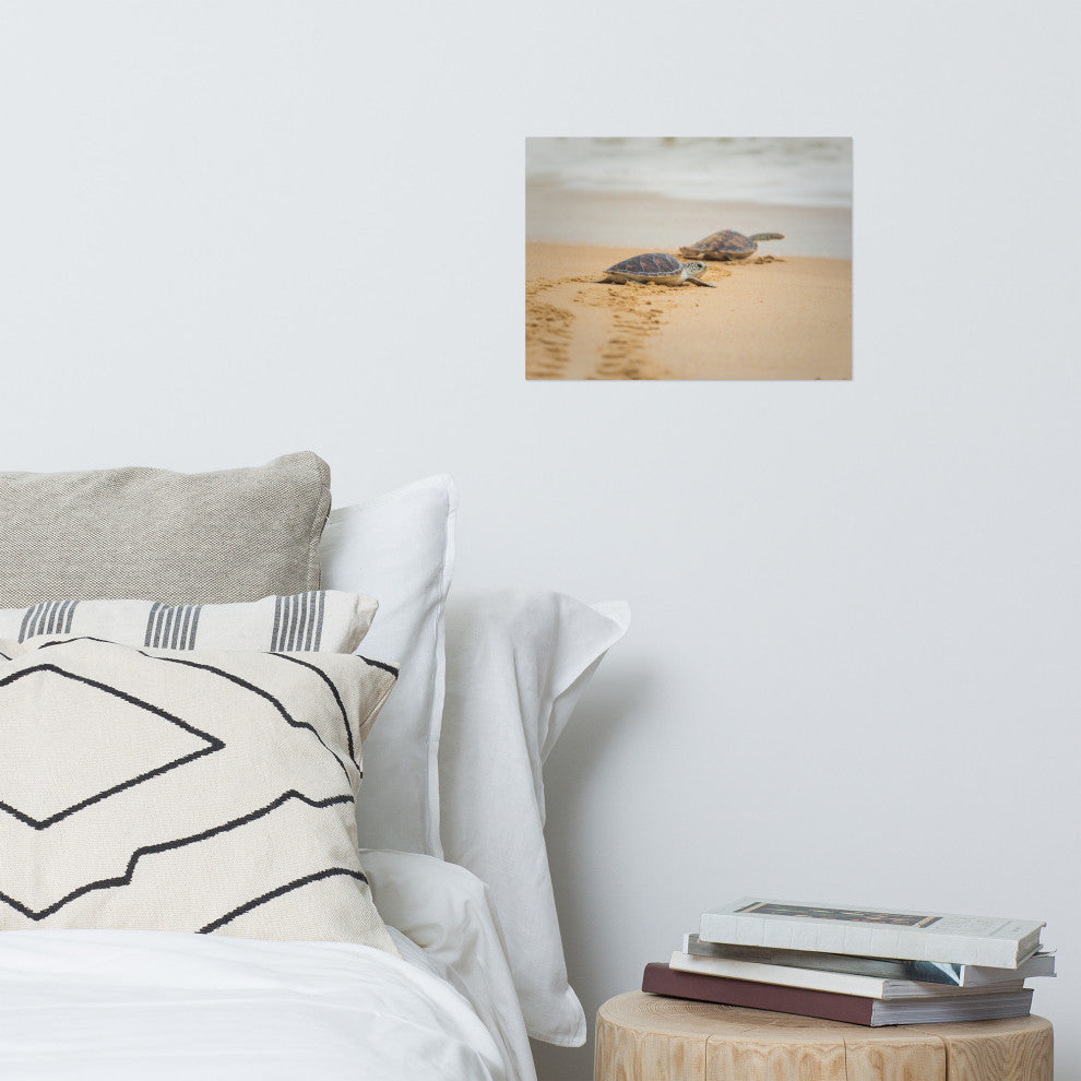 Baby Hawksbill Sea Turtle On The Beach Animal Wildlife Loose Wall Art Print, 12" X 16"