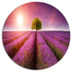 Purple Sky Over Stunning Lavender Field, Floral Round Artwork, 36"