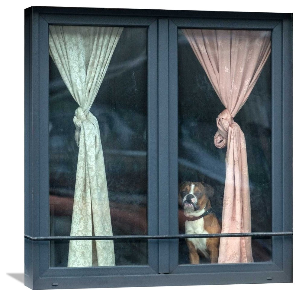 "Looking For His Buddy" Stretched Canvas Giclee by Jef Van Den, 28x30"