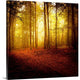 "The Smell of Autumn" Wrapped Canvas Art Print, 20"x20"x1.5"