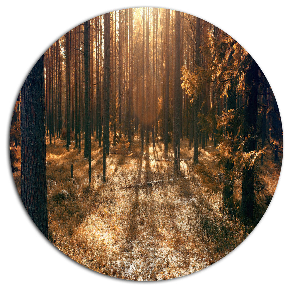 Dark First Snow Forest Photo, Modern Forest Round Wall Art, 36"