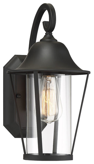 1-Light Exterior Wall Sconce, Black
