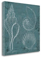 "Coastal Blueprint I" By Marco Fabiano, Giclee Print on Gallery Wrap Canvas