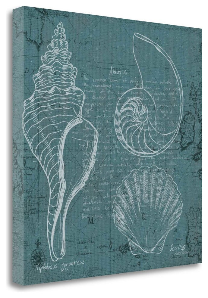 "Coastal Blueprint I" By Marco Fabiano, Giclee Print on Gallery Wrap Canvas