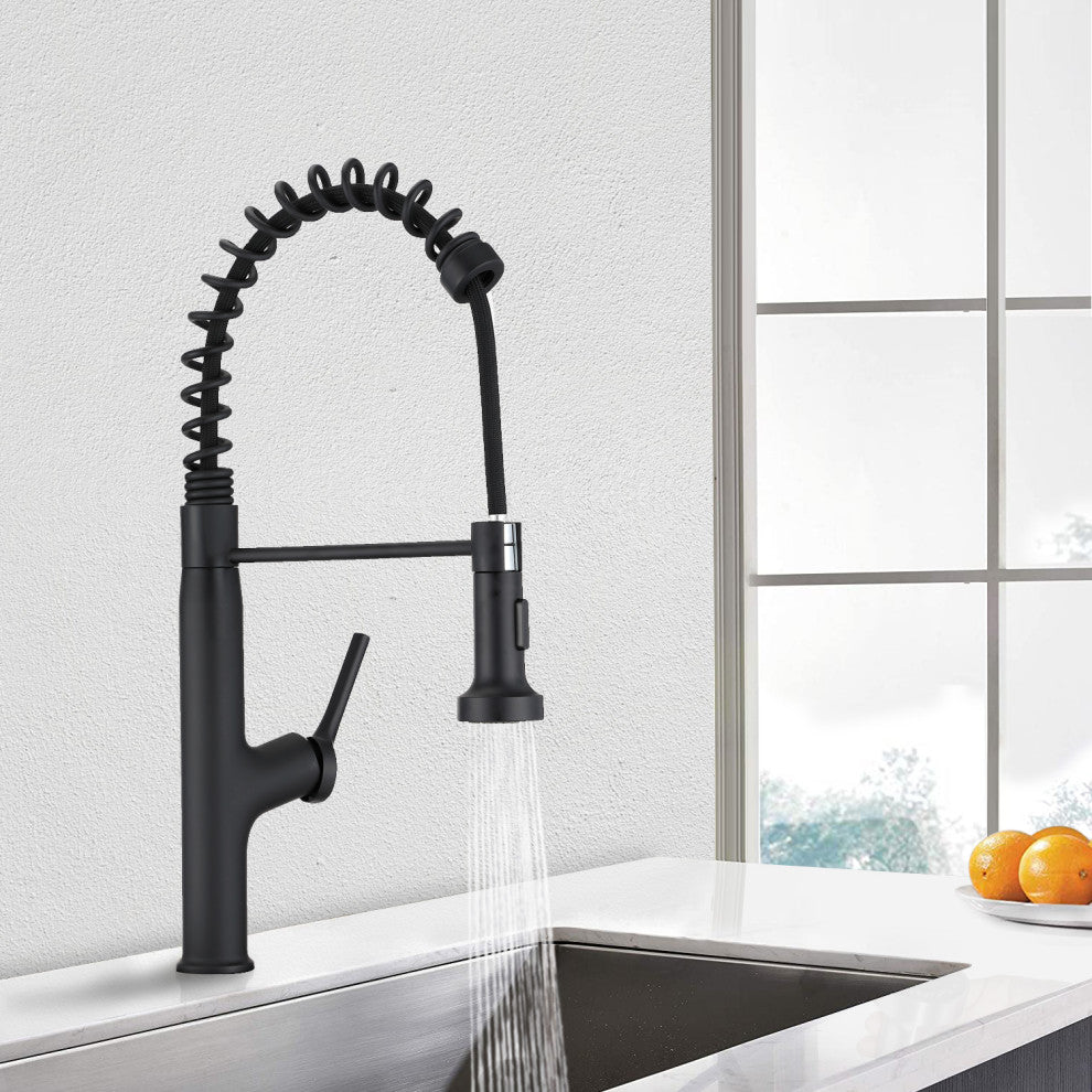 Givingtree Kitchen Faucet Pull Out Sprayer, Deck Mount Matte Blac