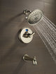 Shower Arm, Polished Nickel
