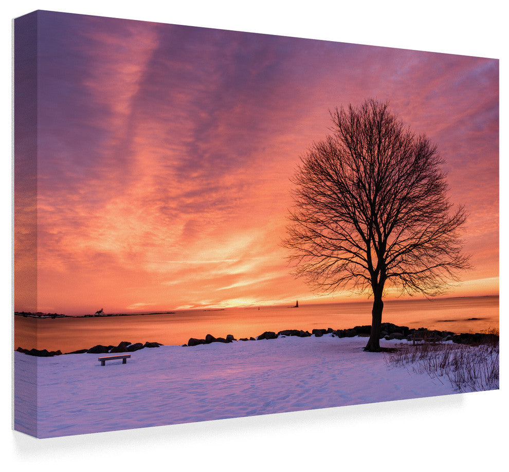 "Come Alive" by Michael Blanchette Photography, Canvas Art, 22"x32"