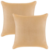 A1HC Throw Pillow Insert, Down Alternative Fill, Set of 2, Mocha, 20"x20"