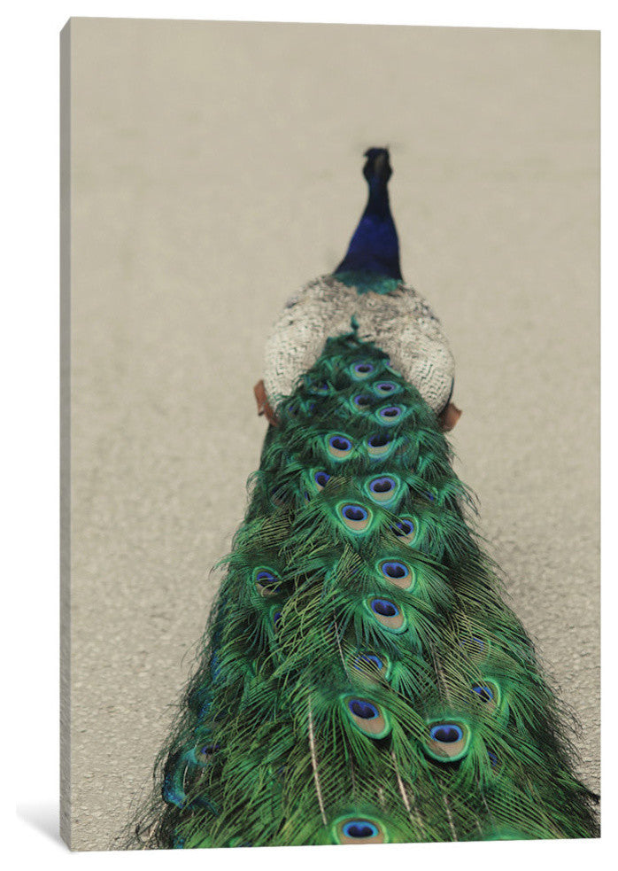 "Shake Your Tailfeather" by Chelsea Victoria, 40x26x1.5