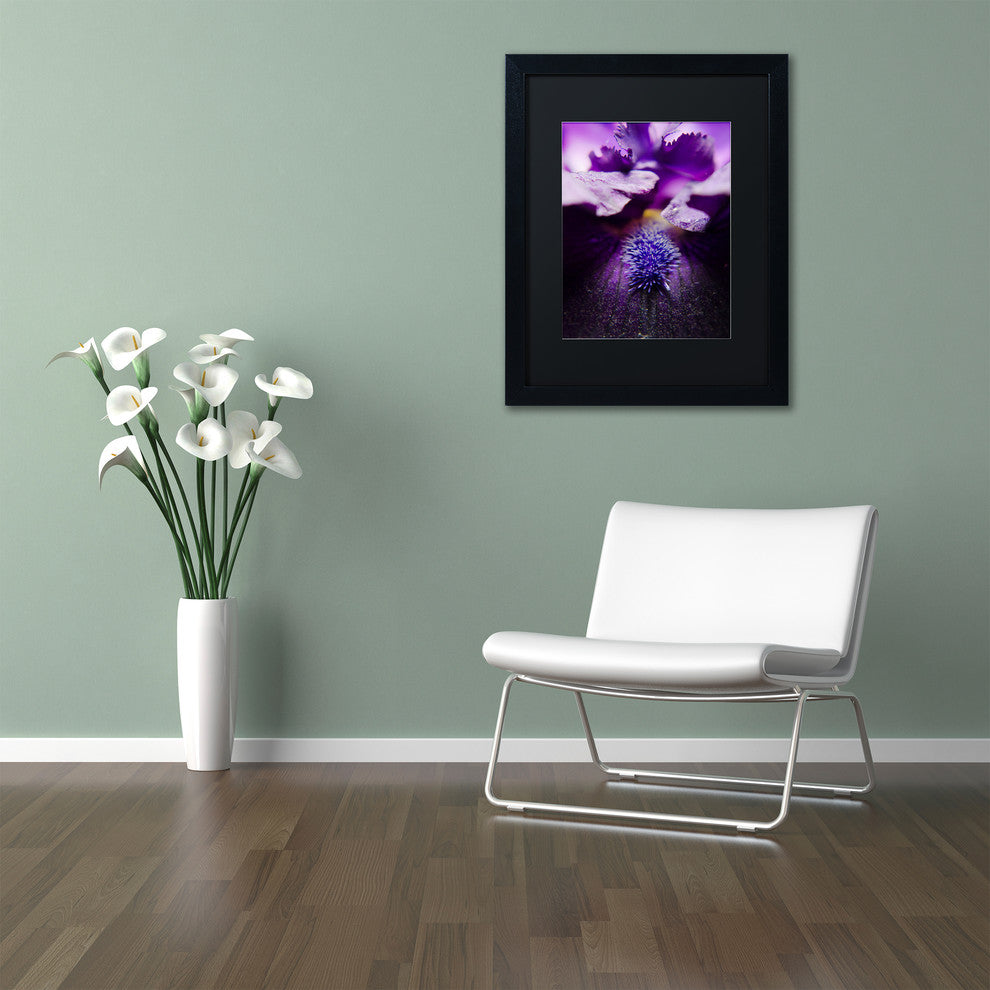 PIPA Fine Art 'Stigma of Iris' Matted Framed Art, 14x11