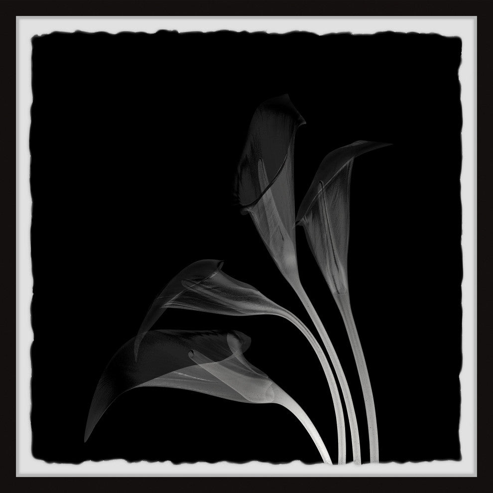 "Lovely Lillies" Framed Painting Print, 32x32