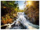 Waterfall through the Forest, Landscape Canvas Art Print, 40"x30"