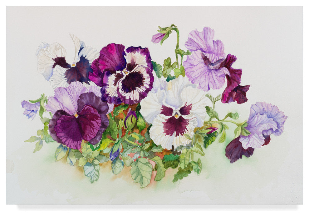 Joanne Porter 'White And Purple Pansies' Canvas Art, 47"x30"