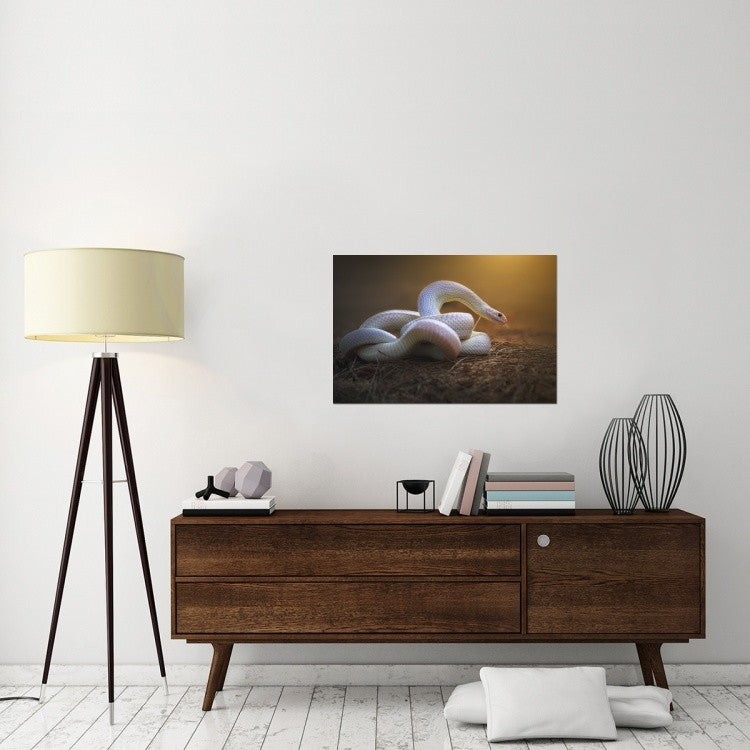 "The White Legend" Stretched Canvas Giclee by Shikhei Goh, 36x24"