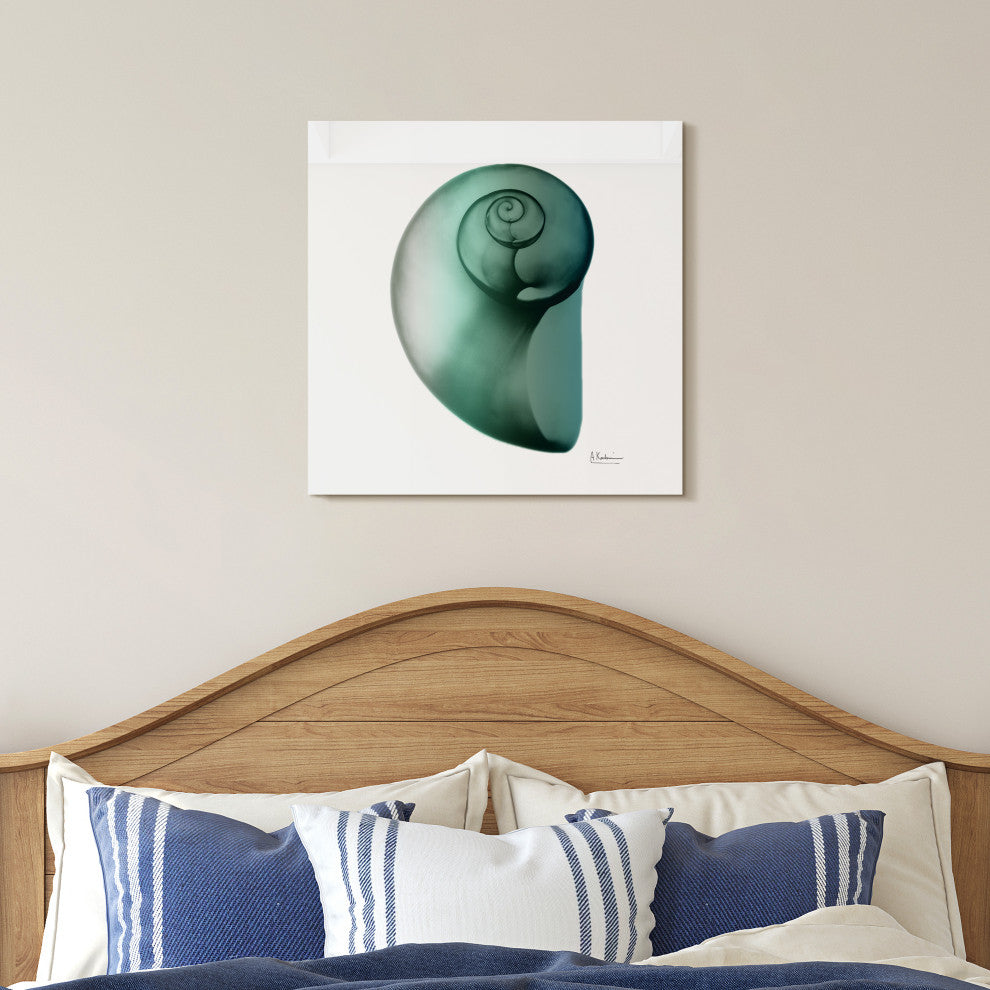 "Shimmering Snail Ii" Wall Art on Frameless Free Floating Tempered Glass Panel
