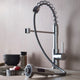 Blossom Lead Free, Solid Brass, Single Handle, Pull Out Kitchen Faucet, Chrome