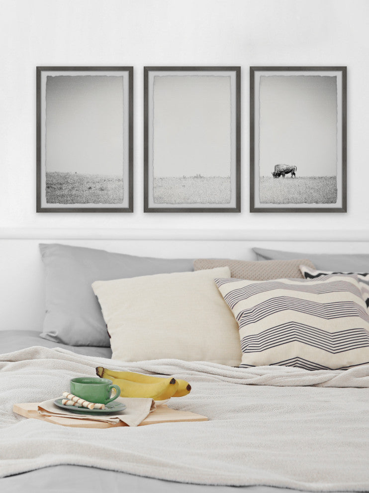 A Lone Bison Triptych, Set of 3, 8x12 Panels