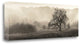 "Meadow Oak Tree" By Alan Blaustein, Giclee Print on Gallery Wrap Canvas