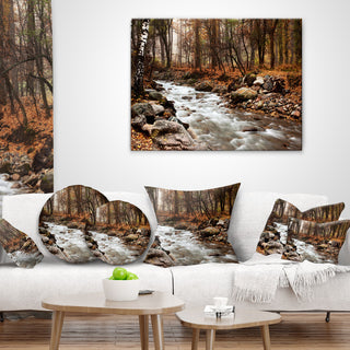 Stream in Autumn Forest Landscape Photography Throw Pillow, 16"x16"