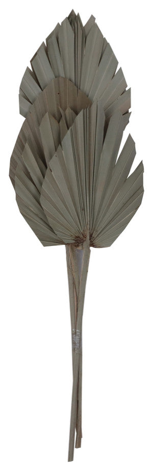 Vickerman Natural Botanicals 21" King Palm Spear, Natural, 21"