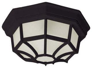 Maxim 1020 Crown Hill 10" 2 Light Outdoor Ceiling Light - Black