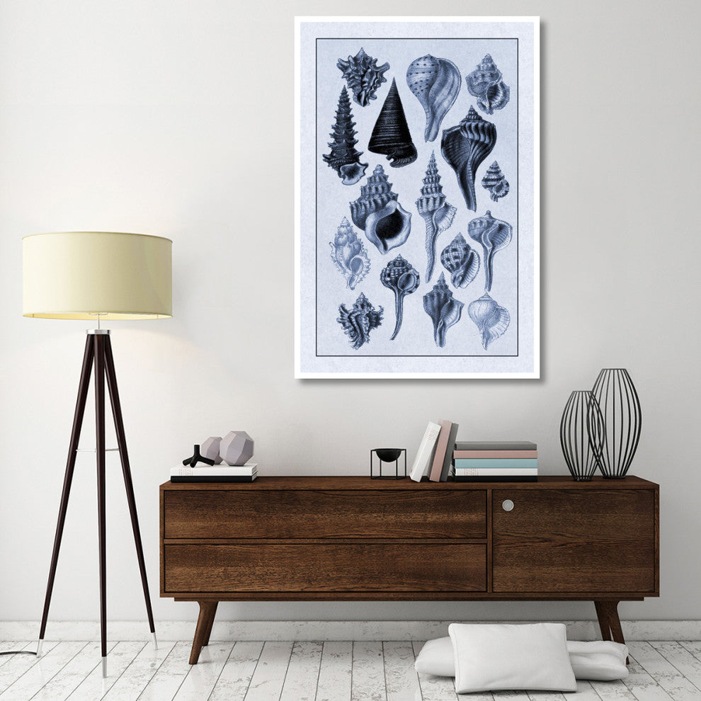 "Shells: Trachelipoda #4 (Blue)" Digital Paper Print by G.B. Sowerby, 42"x62"