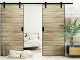 Sliding Barn Door Hardware for Double Door, Straight Design, 5'