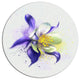 Purple Flower With White Petals, Floral Large Disc Metal Wall Art, 36"