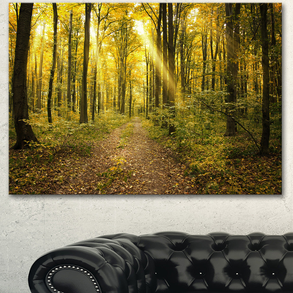 Sunset in Green Autumn Forest, Modern Forest Canvas Art, 40"x30"