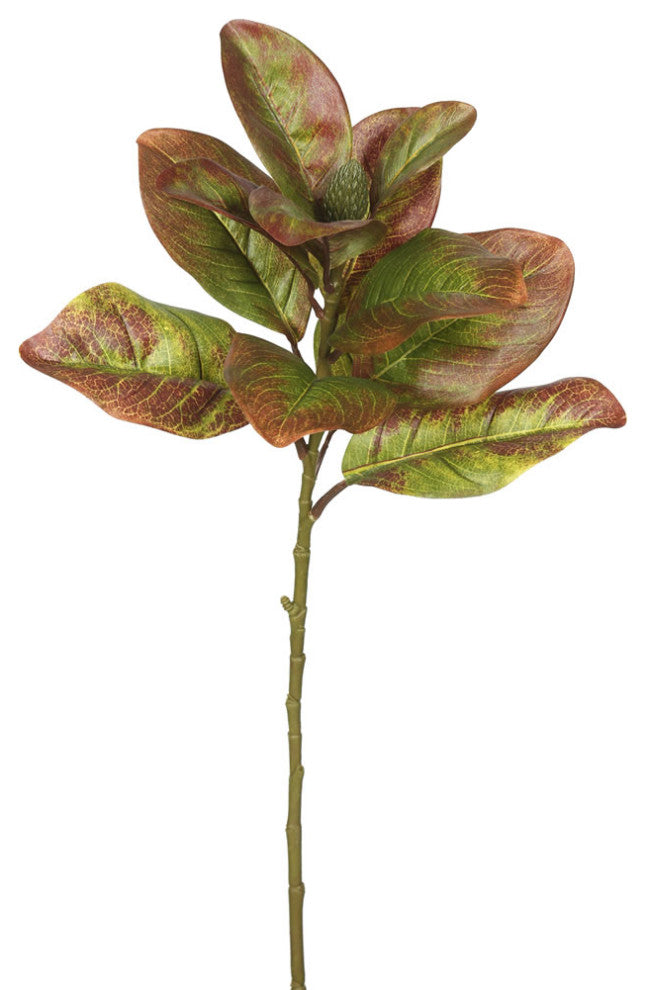 Vickerman Fa172301 31" Artificial Autmn Magnolia Leaves, No Blossom